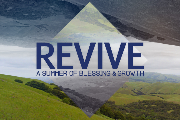 Revive: A Summer of Blessing and Growth